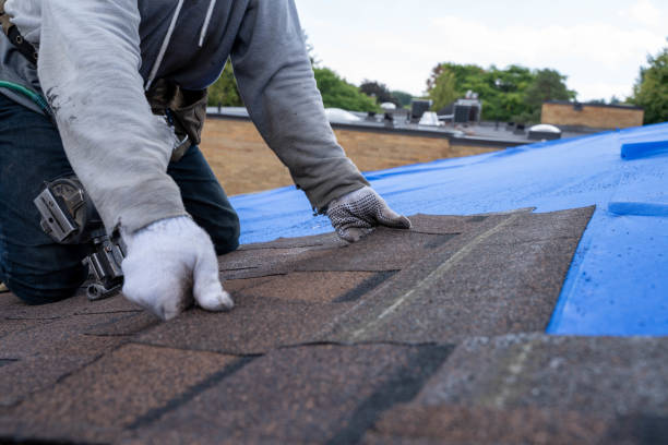 Gutter Installation and Roofing in Clearview, WA