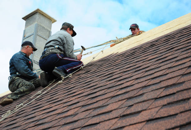 Best Roof Waterproofing Services  in Clearview, WA